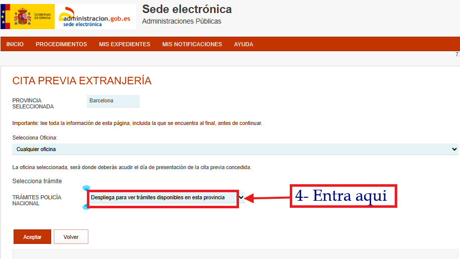 Paso 3: Tipo de trámite