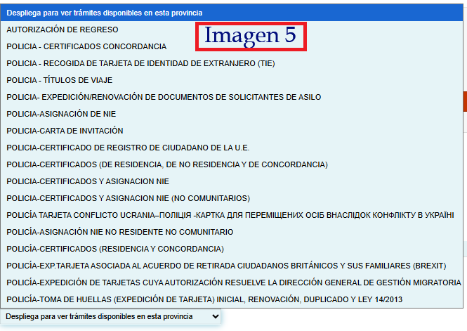 Paso 3: Disponibilidad de citas