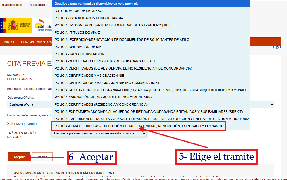 Paso 4: Confirmación de datos
